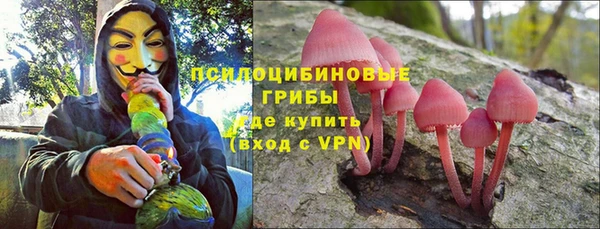стаф Абаза