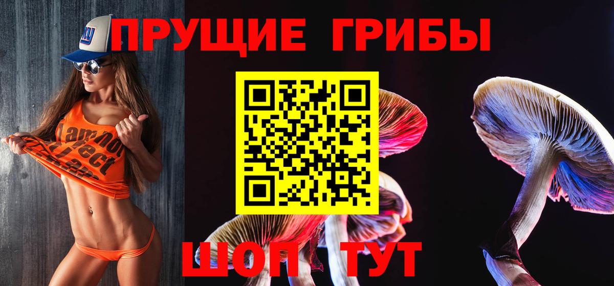 Псилоцибиновые грибы Psilocybine cubensis  Вход с VPN  Магнитогорск 