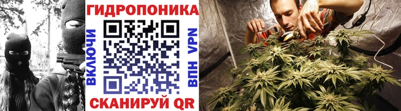 купить закладку  Магнитогорск  Бошки марихуана тримм 